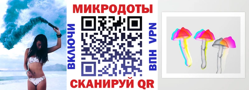 Псилоцибиновые грибы мицелий  блэк спрут ONION  Прохладный 